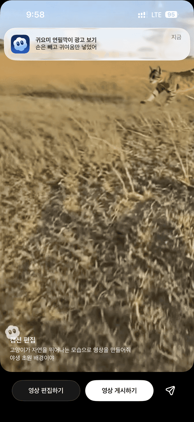 고양이 영상 생성 알림